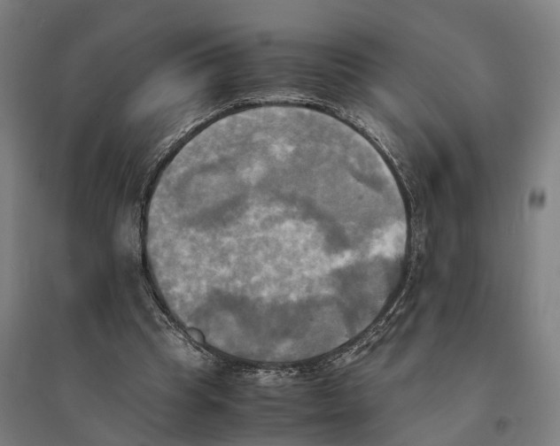 X0000095120345200712301805