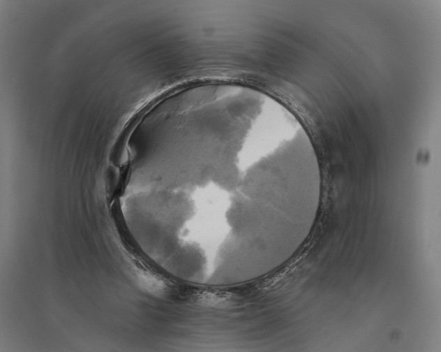 X0000095120346200712301805