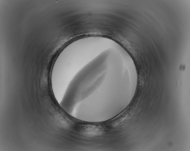 X0000095120347200712301805