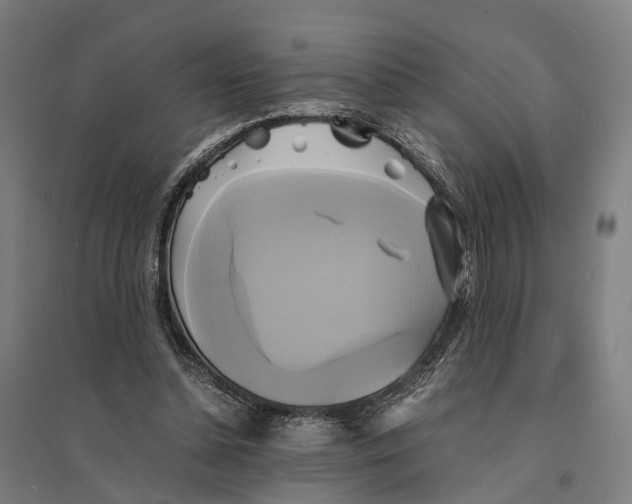 X0000095120348200712301805