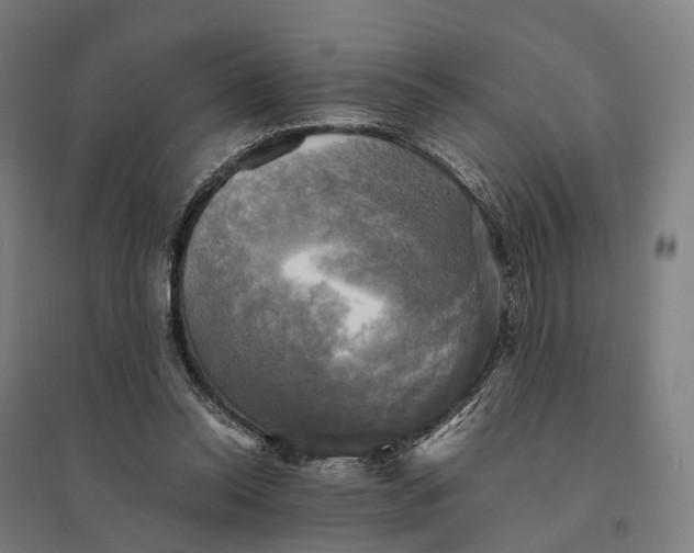 X0000095120350200712301805