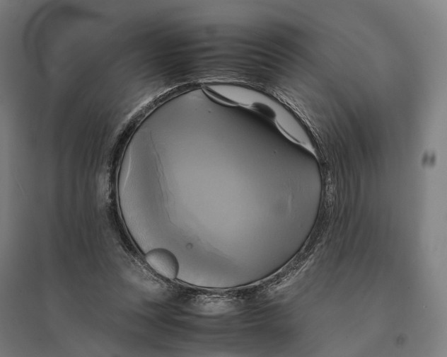 X0000095120351200712301805