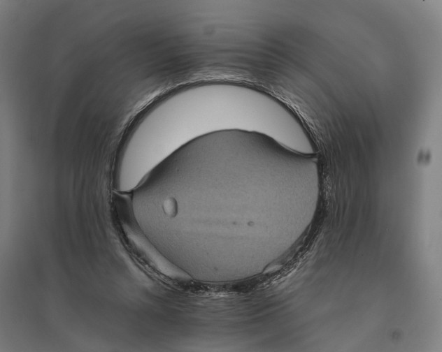 X0000095120352200712301805