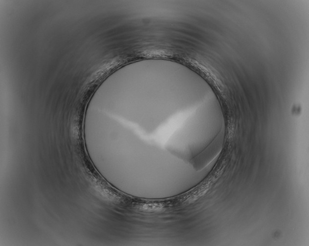 X0000095120353200712301805