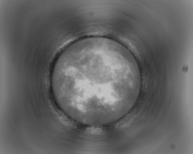 X0000095120354200712301805