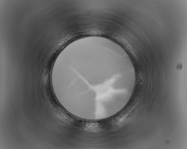 X0000095120355200712301805