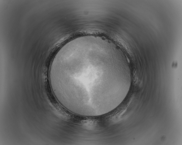 X0000095120356200712301806