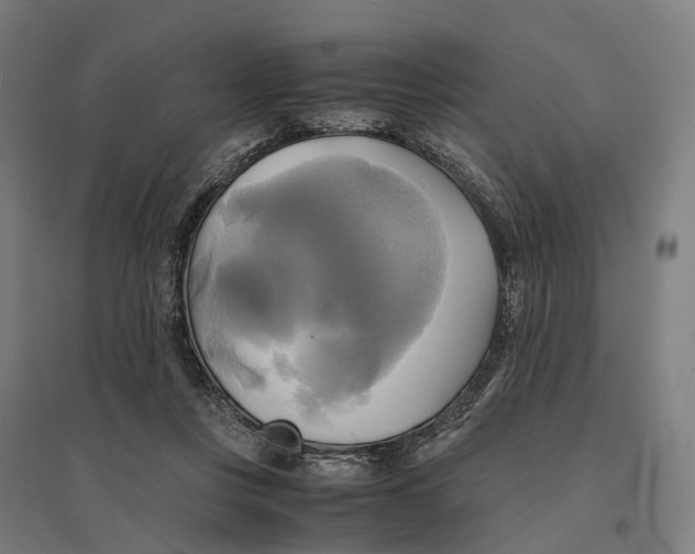 X0000095120359200712301806