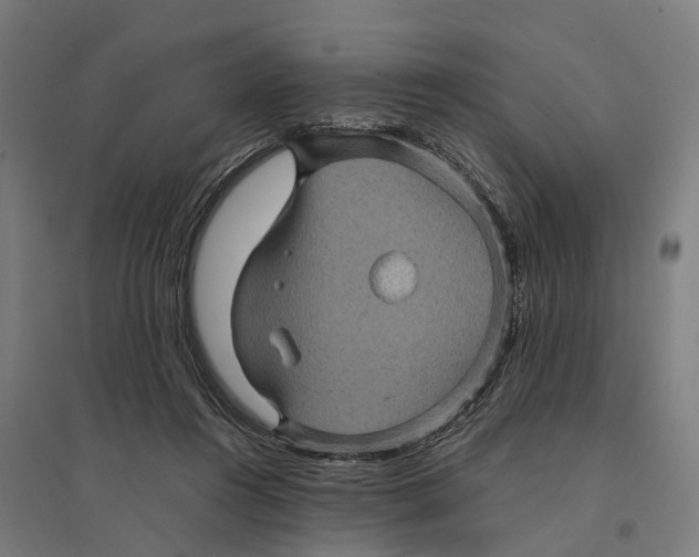 X0000095120360200712301806