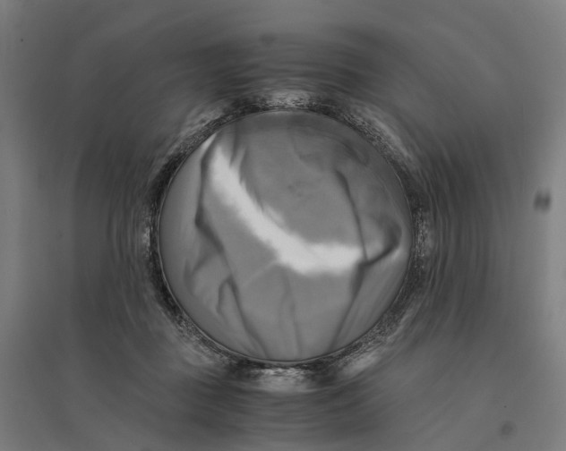 X0000095120363200712301806