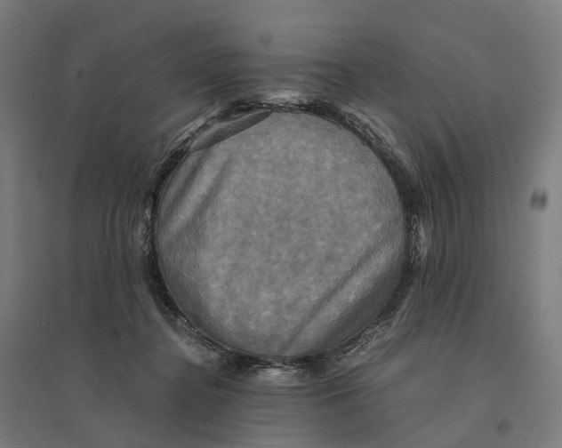 X0000095120364200712301806