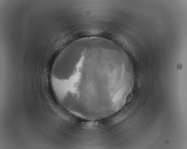 X0000095120366200712301806