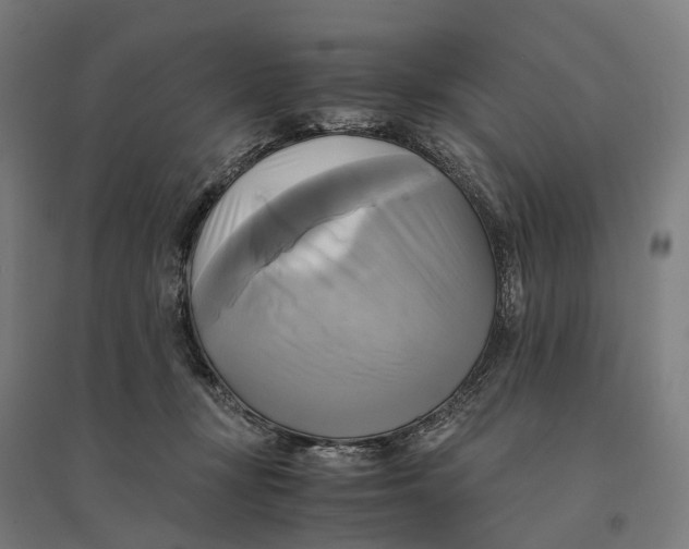 X0000095120367200712301806