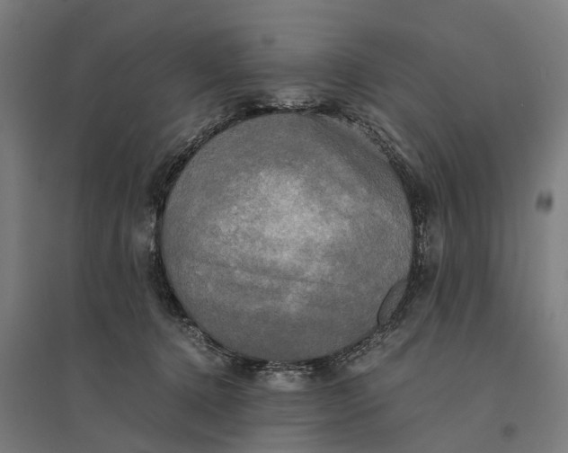 X0000095120368200712301806