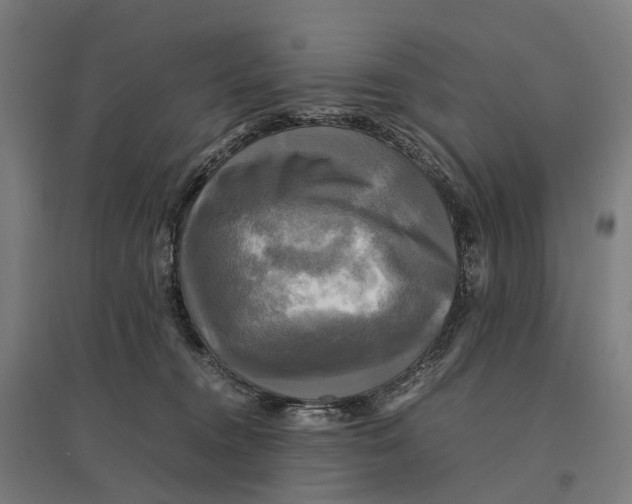 X0000095120372200712301806