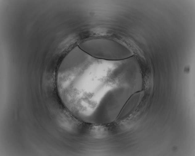 X0000095120376200712301806