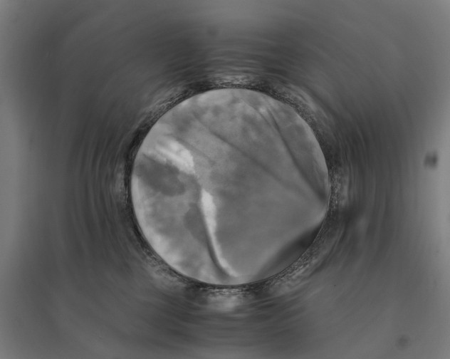 X0000095120377200712301806