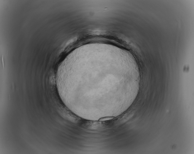 X0000095120384200712301806