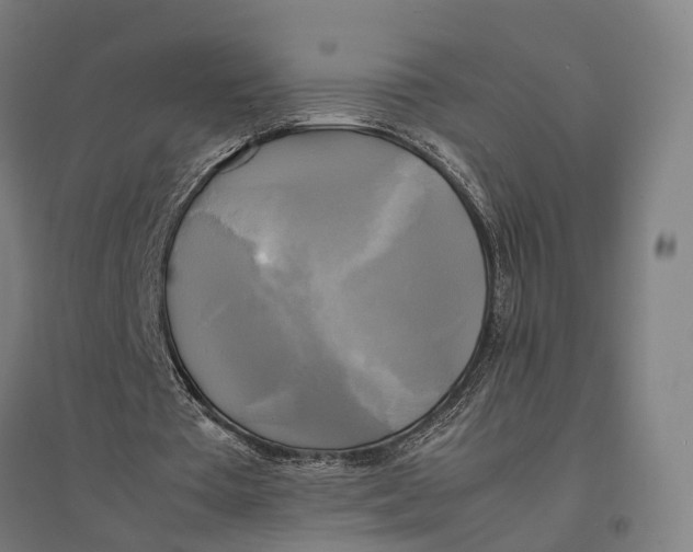 X0000095120385200712301805