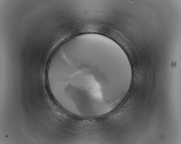 X0000095120386200712301805