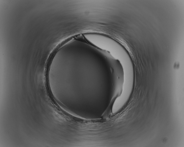 X0000095120387200712301805