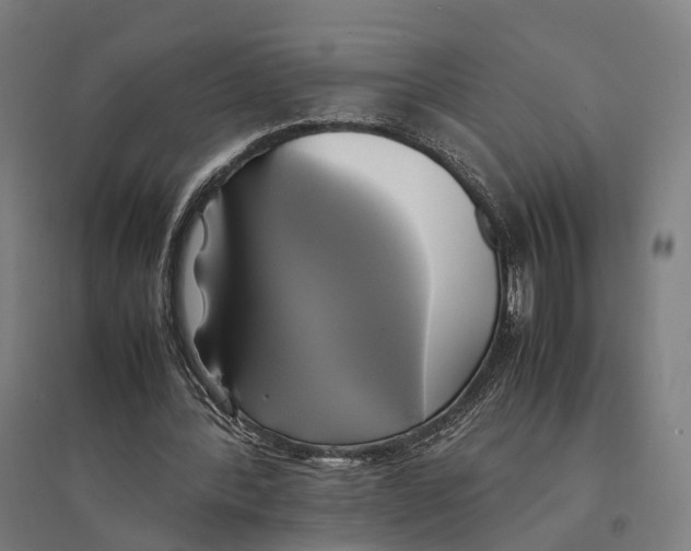 X0000095120388200712301805