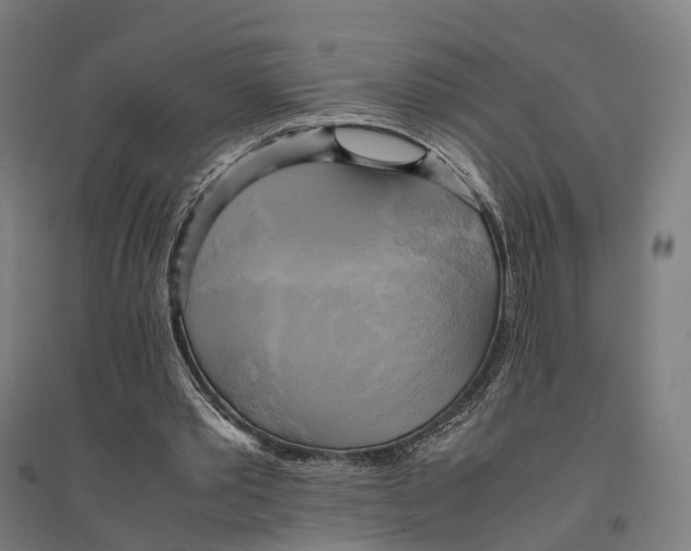 X0000095120389200712301805