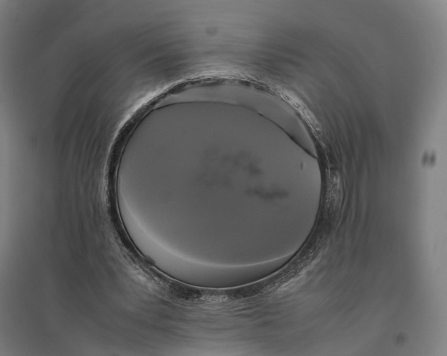 X0000095120391200712301805