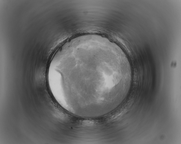 X0000095120394200712301805