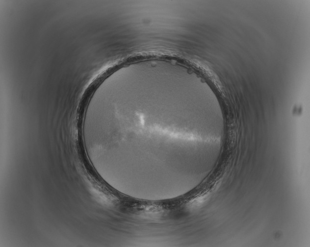 X0000095120395200712301805