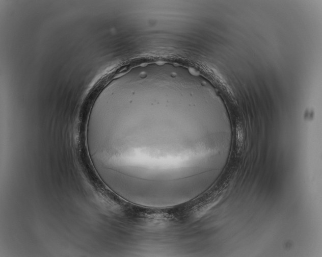 X0000095120396200712301805