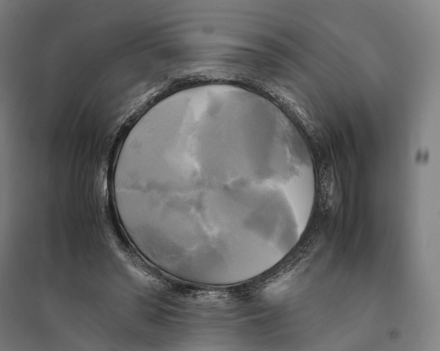 X0000095120398200712301805