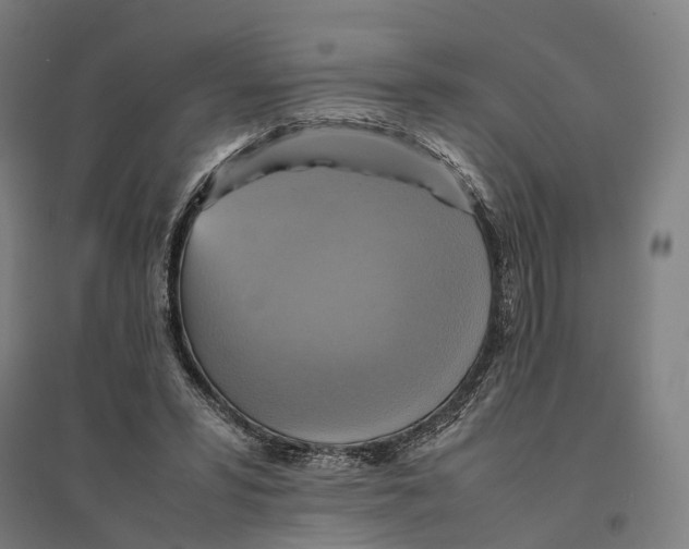 X0000095120399200712301805