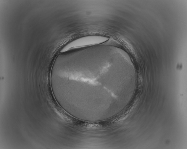 X0000095120401200712301805