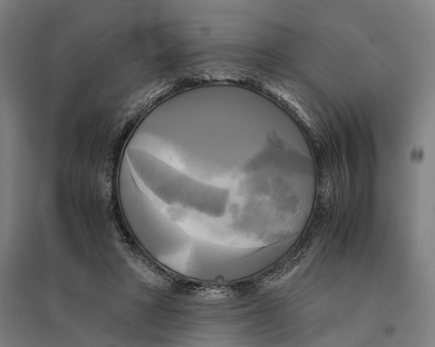 X0000095120402200712301805