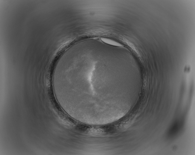 X0000095120403200712301805