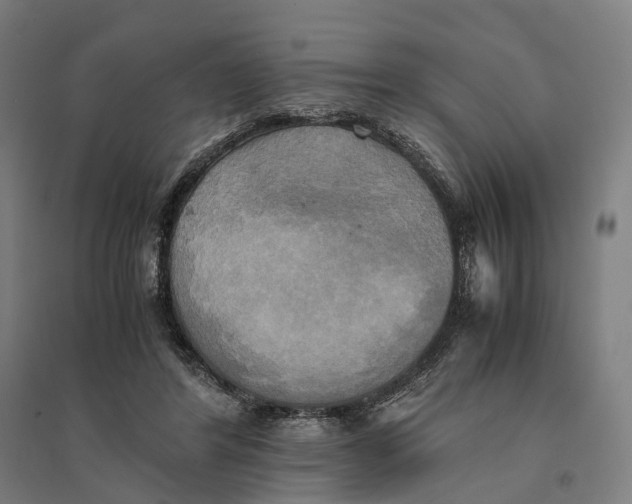 X0000095120404200712301805