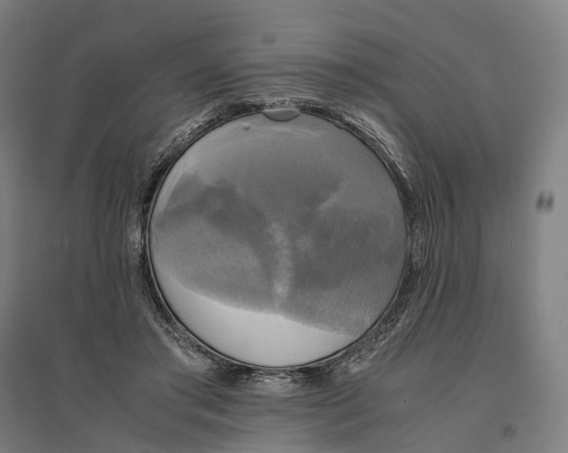 X0000095120405200712301805