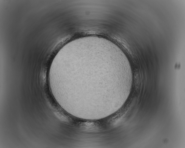 X0000095120406200712301805