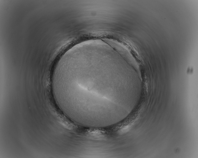 X0000095120407200712301805