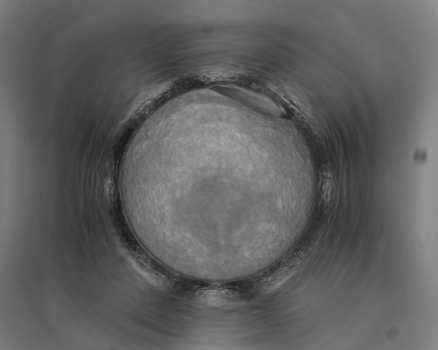 X0000095120408200712301805