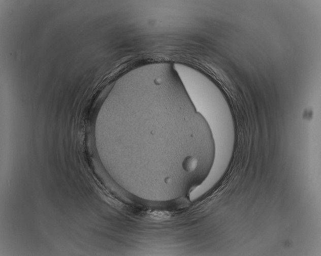 X0000095120409200712301805