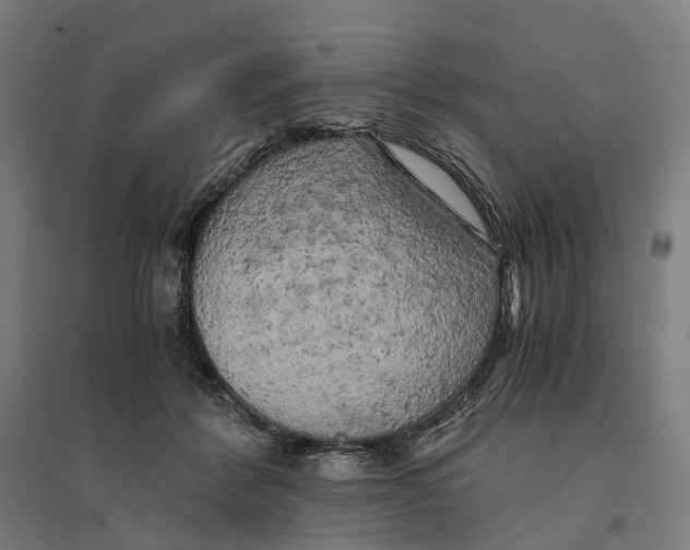 X0000095120412200712301805