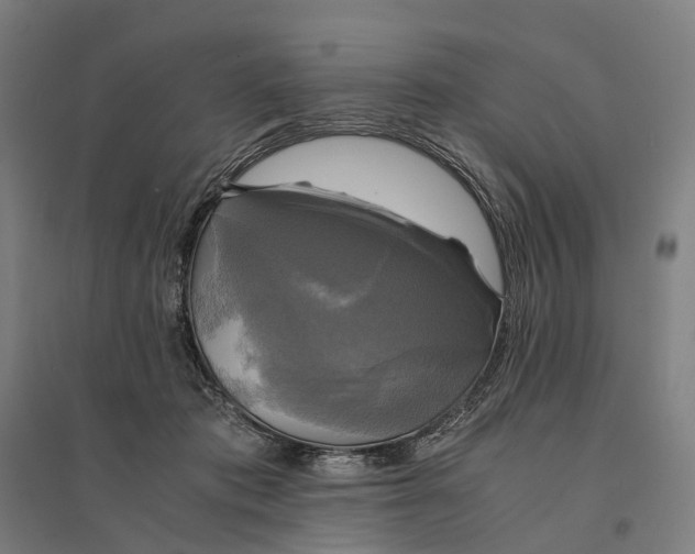 X0000095120413200712301805