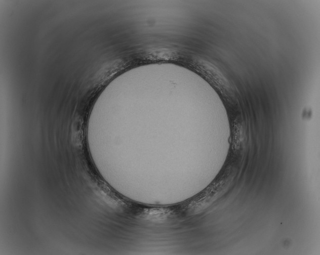 X0000095120414200712301805