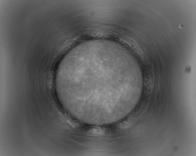 X0000095120416200712301805