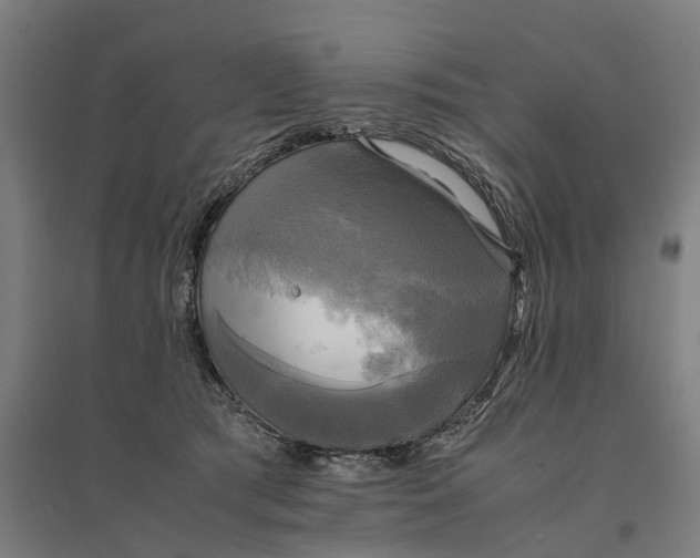 X0000095120417200712301805