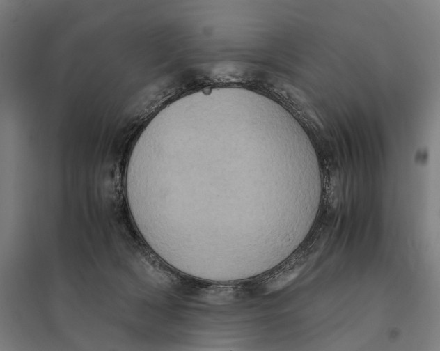 X0000095120418200712301805