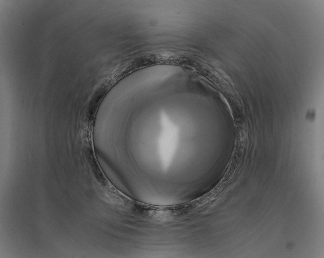 X0000095120419200712301805