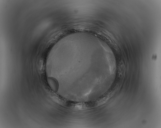 X0000095120420200712301805